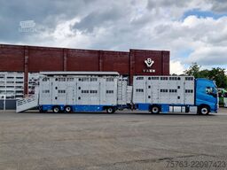 Volvo FH 13.460 - Menke Livestock + trailer - 3 stock...