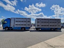 Volvo FH 13.460 - Menke Livestock + trailer - 3 stock...