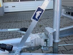 Saris Pritsche Autotransporter PL 506 204 3500