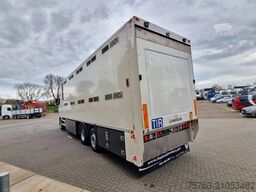 DAF XF 440 SuperSpaceCab 6x2*4 - 2 deck Closed Live...