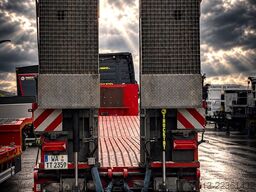 FLIEGL Hubtisch, Gitterrostboden, E-Hydr., Seilwinde