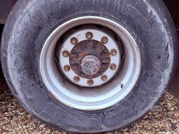 SCHMITZ SEMIRIMORCHIO SPONDE