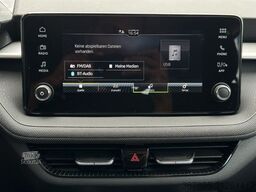 SKODA 1.0MPi Selection Climatronic SHZ PDC/H LM15