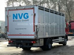 DAF LF 280 4x2 BL 1.Stock Viehwagen ACC LDW CAM