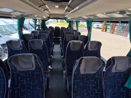 TEMSA 5 units Prestij SX,Novo Lux, Daily, Atego