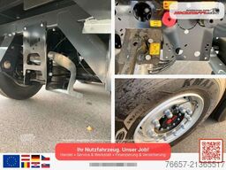 WIELTON Koffersattel