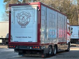 SCANIA R520 6x2 LL 4.Stock Menke Hubdach Tränke Retarde