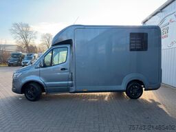 MERCEDES-BENZ STX Sprinter  3.500KG  Haras Hengste