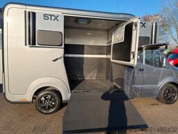 MERCEDES-BENZ STX Sprinter 3.500KG Haras Hengste