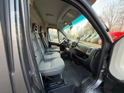 PEUGEOT Boxer 1-2 Pferdetransporter