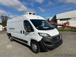 FIAT Ducato 180 / Zanotti Z 350 S Tiefkühler
