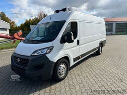 FIAT Ducato 180 / Zanotti Z 350 S Tiefkühler