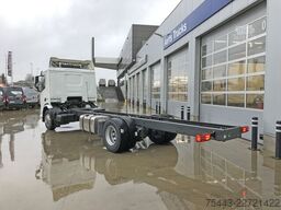 DAF XD 310 FA 4x2 ST954 - 19T - Plywood opb. 7800mm...
