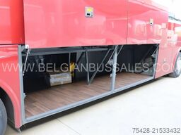 Temsa Safari HD 13 / 13.1m / Euro 6 / Full Option