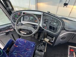 Iveco Domino
