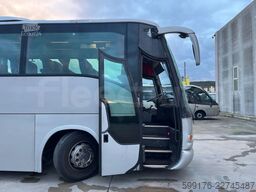 Iveco Domino
