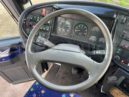 Iveco Domino