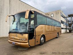 Iveco Domino