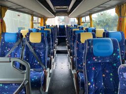Iveco Domino