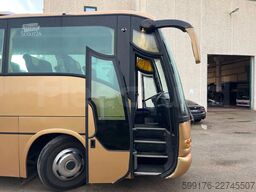 Iveco Domino