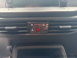 VW Caddy TDI 90 kW Maxi Kasten 2xSchiebetür Aut.