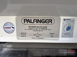 Scania P 320 NB - THERMO KING - SCHMITZ CARGOBULL - LBW