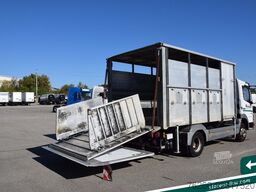 MERCEDES-BENZ Atego 815 BDF-Viehaufbau + Kühlaufbau