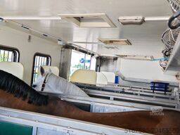 Scania 2002 + Belgium Horse box 8 years R 420