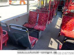 MAN A 37 Lions City / O 530 Citaro