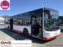 MAN A 37 Lions City / O 530 Citaro