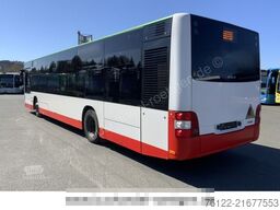MAN A 37 Lions City / O 530 Citaro