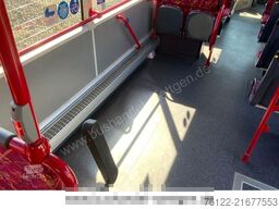 MAN A 37 Lions City / O 530 Citaro