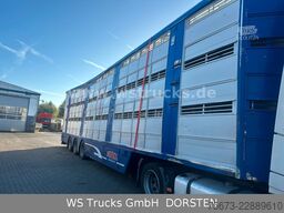 Finkl 3 Stock Hubdach Typ 2  