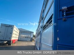Finkl 3 Stock Hubdach Typ 2  