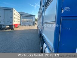Finkl 3 Stock Hubdach Typ 2  