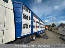 Finkl 3 Stock Hubdach Typ 2  