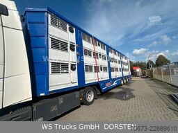 Finkl 3 Stock Hubdach Typ 2  