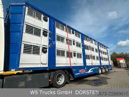 Finkl 3 Stock Hubdach Typ 2  