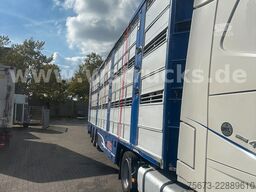 Finkl 3 Stock Hubdach Typ 2  