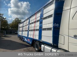 Finkl 3 Stock Hubdach Typ 2  