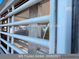 Finkl 3 Stock Hubdach Typ 2  