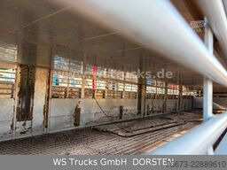 Finkl 3 Stock Hubdach Typ 2  