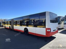 MAN A 23 Lions City G