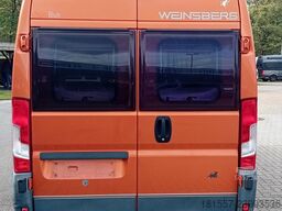 WEINSBERG CaraBus 600