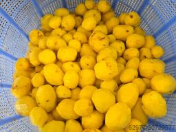 Vogel GmbH Vogel GmbH Vogel GmbH