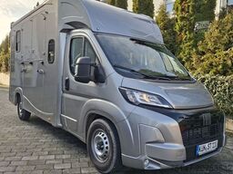FIAT Ducato 5-Sitze ATM 2 Pferde Kamera Lüftung Haras