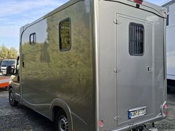 FIAT Ducato 5-Sitze ATM 2 Pferde Kamera Lüftung Haras