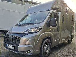 FIAT Ducato 5-Sitze ATM 2 Pferde Kamera Lüftung Haras