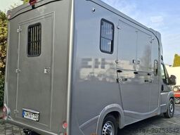 FIAT Ducato 5-Sitze ATM 2 Pferde Kamera Lüftung Haras