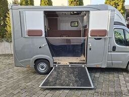 FIAT Ducato 5-Sitze ATM 2 Pferde Kamera Lüftung Haras
